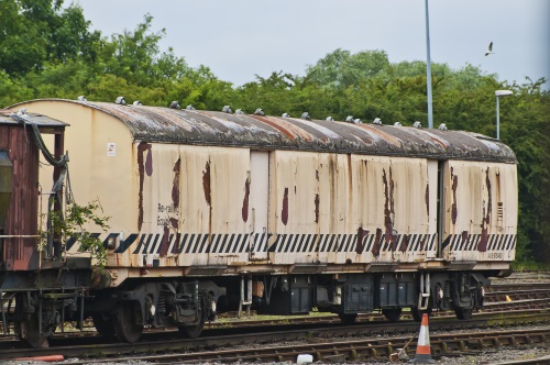 BR 34746 Mk 1 BSK (later Tool Van) built 1955